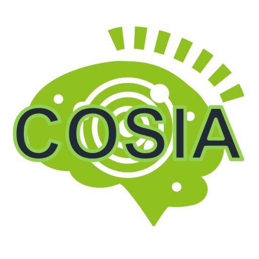 国際認知科学統合アプローチ（COSIA）学会